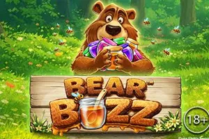 Bear Buzz - STAYSLOT168