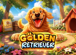Pragmatic : Golden Retriever - STAYSLOT168