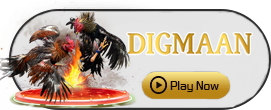 Digman - STAYSLOT168